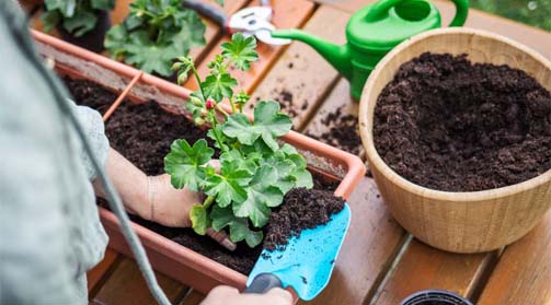 Organic-Multipurpose-Compost-Carlisle and Wetheral